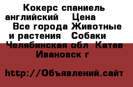 Кокерс спаниель английский  › Цена ­ 4 500 - Все города Животные и растения » Собаки   . Челябинская обл.,Катав-Ивановск г.